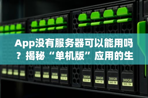 App没有服务器可以能用吗？揭秘“单机版”应用的生存法则！