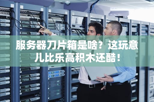 服务器刀片箱是啥？这玩意儿比乐高积木还酷！