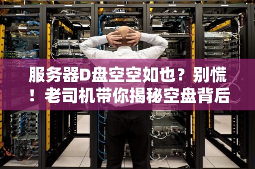服务器D盘空空如也？别慌！老司机带你揭秘空盘背后的真相