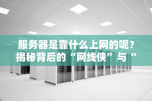 服务器是靠什么上网的呢？揭秘背后的“网线侠”与“信号超人”