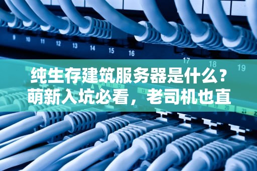 纯生存建筑服务器是什么？萌新入坑必看，老司机也直呼内行！