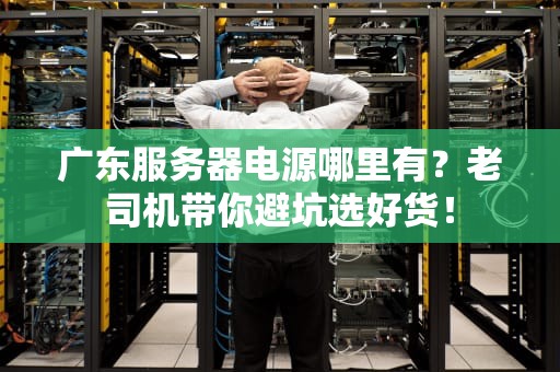 广东服务器电源哪里有？老司机带你避坑选好货！