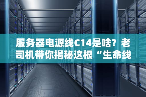 服务器电源线C14是啥？老司机带你揭秘这根“生命线”的玄机！
