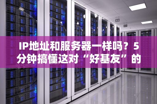IP地址和服务器一样吗？5分钟搞懂这对“好基友”的区别！