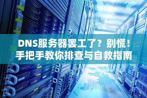 DNS服务器罢工了？别慌！手把手教你排查与自救指南