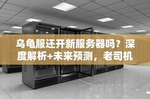 乌龟服还开新服务器吗？深度解析+未来预测，老司机带你吃瓜！