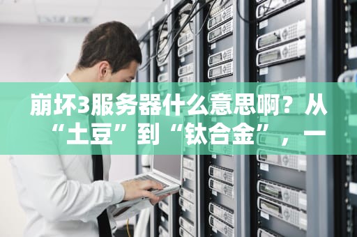 崩坏3服务器什么意思啊？从“土豆”到“钛合金”，一次给你讲明白！