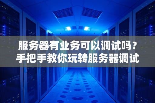 服务器有业务可以调试吗？手把手教你玩转服务器调试的“黑科技”！