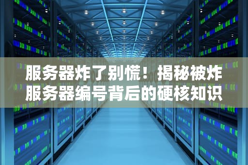 服务器炸了别慌！揭秘被炸服务器编号背后的硬核知识（附抢救指南）