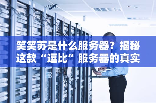 笑笑苏是什么服务器？揭秘这款“逗比”服务器的真实实力！