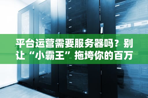 平台运营需要服务器吗？别让“小霸王”拖垮你的百万生意！