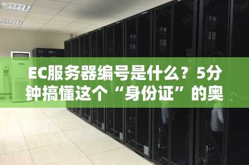 EC服务器编号是什么？5分钟搞懂这个“身份证”的奥秘！