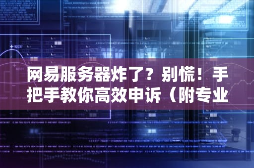 网易服务器炸了？别慌！手把手教你高效申诉（附专业避坑指南）