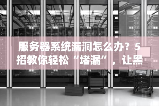 服务器系统漏洞怎么办？5招教你轻松“堵漏”，让黑客哭晕在厕所！