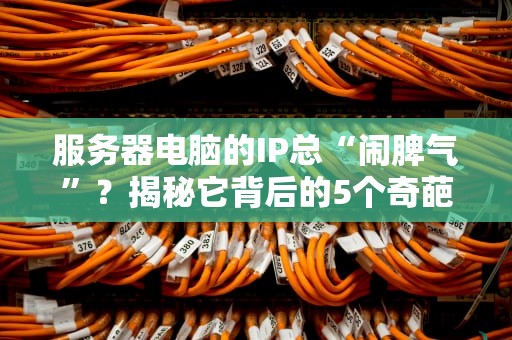 服务器电脑的IP总“闹脾气”？揭秘它背后的5个奇葩原因！