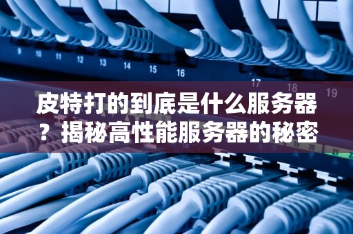 皮特打的到底是什么服务器？揭秘高性能服务器的秘密武器！