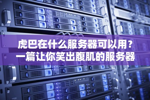 虎巴在什么服务器可以用？一篇让你笑出腹肌的服务器测评指南