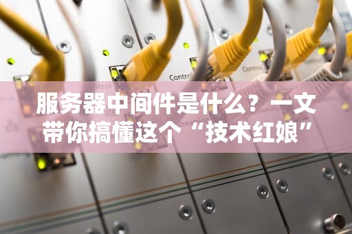 服务器中间件是什么？一文带你搞懂这个“技术红娘”的日常！