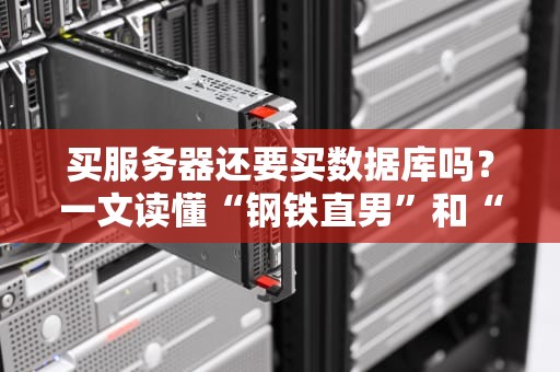 买服务器还要买数据库吗？一文读懂“钢铁直男”和“贤内助”的微妙关系！