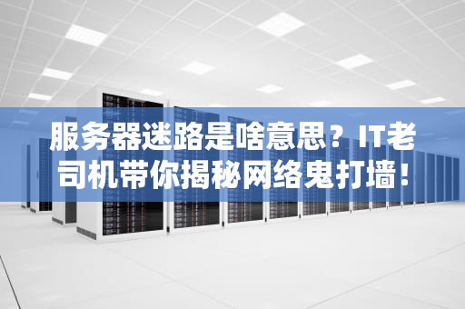 服务器迷路是啥意思？IT老司机带你揭秘网络鬼打墙！