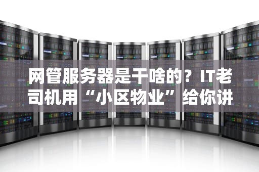 网管服务器是干啥的？IT老司机用“小区物业”给你讲明白！