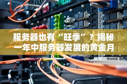 服务器也有“旺季”？揭秘一年中服务器发展的黄金月份！