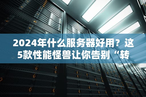 2024年什么服务器好用？这5款性能怪兽让你告别“转圈圈”焦虑！