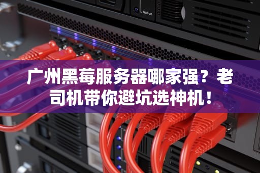 广州黑莓服务器哪家强？老司机带你避坑选神机！