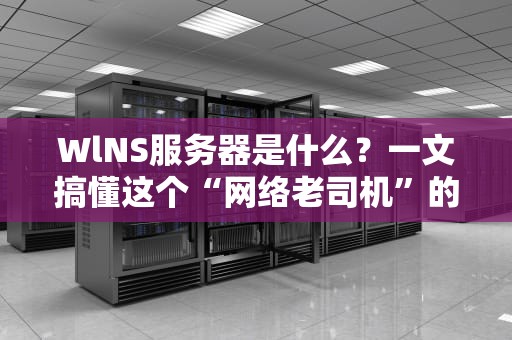 WlNS服务器是什么？一文搞懂这个“网络老司机”的隐藏技能！