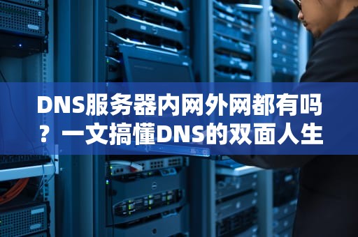DNS服务器内网外网都有吗？一文搞懂DNS的双面人生！
