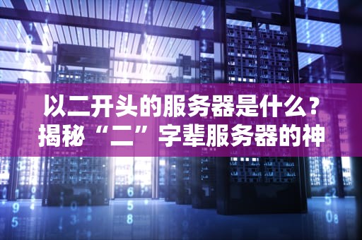 以二开头的服务器是什么？揭秘“二”字辈服务器的神奇世界！