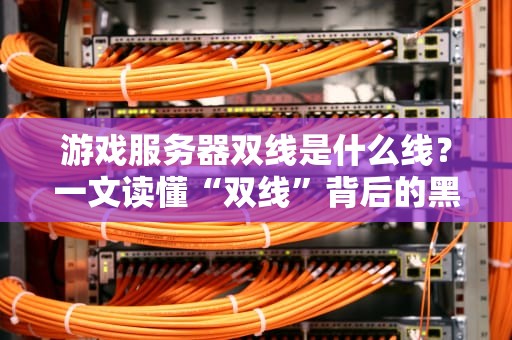 游戏服务器双线是什么线？一文读懂“双线”背后的黑科技！