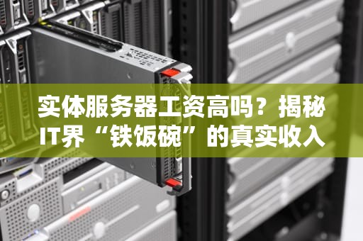 实体服务器工资高吗？揭秘IT界“铁饭碗”的真实收入！