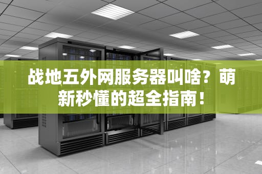 战地五外网服务器叫啥？萌新秒懂的超全指南！