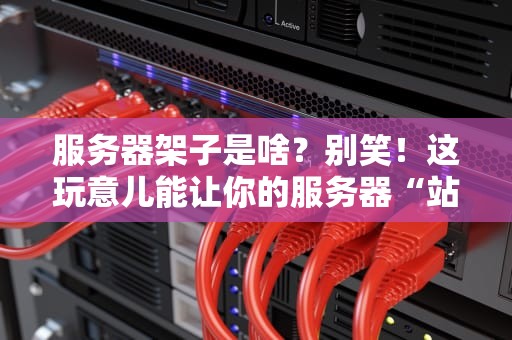 服务器架子是啥？别笑！这玩意儿能让你的服务器“站”得稳如老狗！