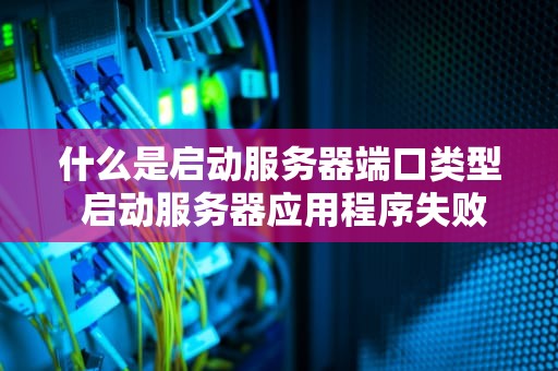 什么是启动服务器端口类型 启动服务器应用程序失败是怎么回事
