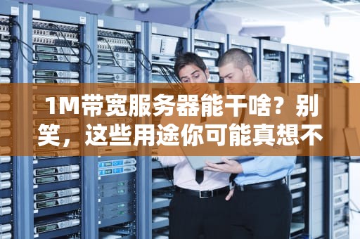 1M带宽服务器能干啥？别笑，这些用途你可能真想不到！