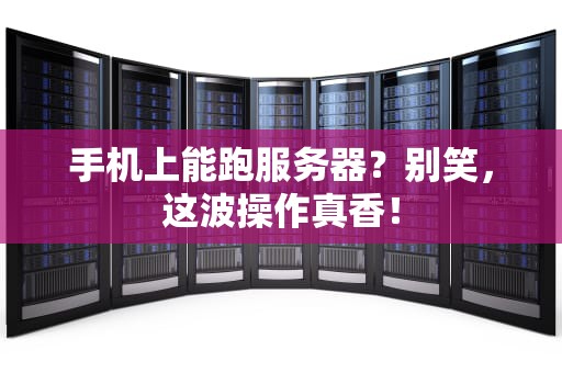 手机上能跑服务器？别笑，这波操作真香！