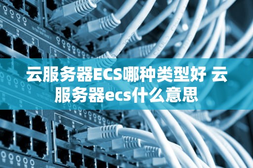 云服务器ECS哪种类型好 云服务器ecs什么意思