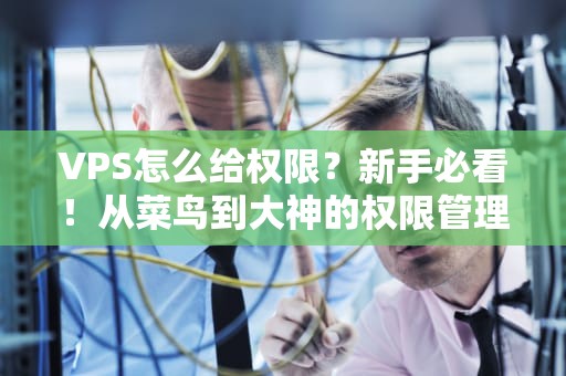 VPS怎么给权限？新手必看！从菜鸟到大神的权限管理指南