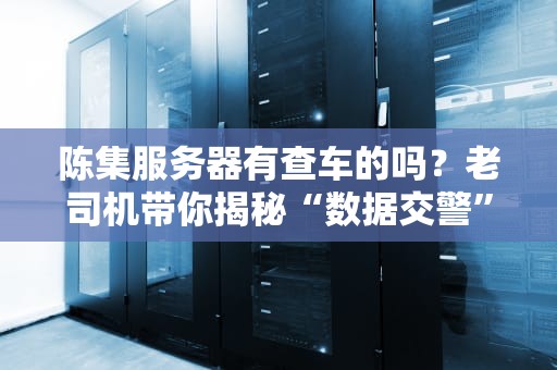 陈集服务器有查车的吗？老司机带你揭秘“数据交警”那些事儿！