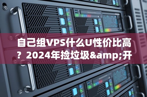 自己组VPS什么U性价比高？2024年捡垃圾&开新车终极指南！
