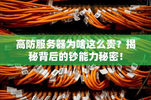 高防服务器为啥这么贵？揭秘背后的钞能力秘密！