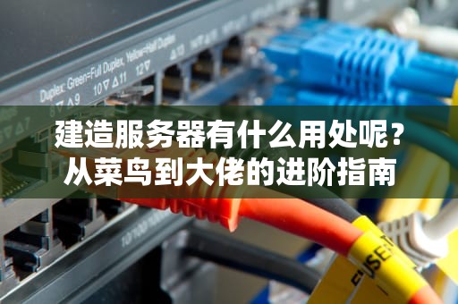 建造服务器有什么用处呢？从菜鸟到大佬的进阶指南