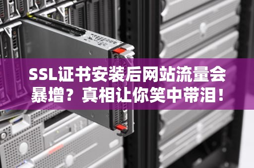 SSL证书安装后网站流量会暴增？真相让你笑中带泪！