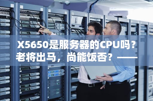 X5650是服务器的CPU吗？老将出马，尚能饭否？——深度测评这颗古董U的真实战力