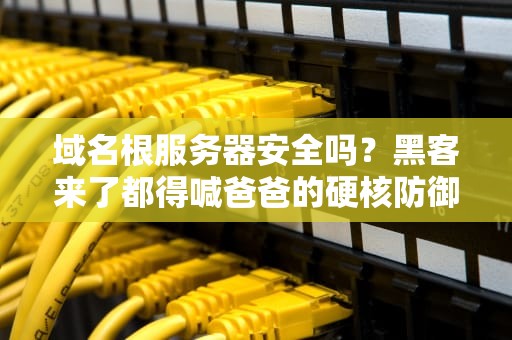 域名根服务器安全吗？黑客来了都得喊爸爸的硬核防御解析！