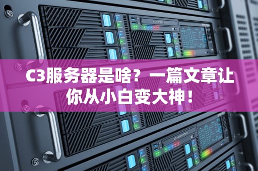 C3服务器是啥？一篇文章让你从小白变大神！