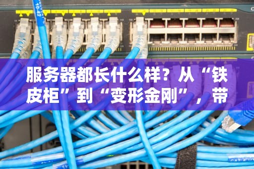 服务器都长什么样？从“铁皮柜”到“变形金刚”，带你揭秘数据中心的钢铁侠！