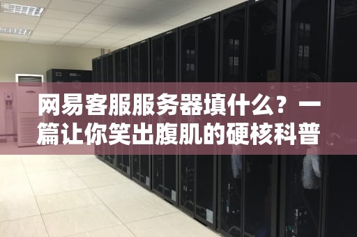 网易客服服务器填什么？一篇让你笑出腹肌的硬核科普指南！